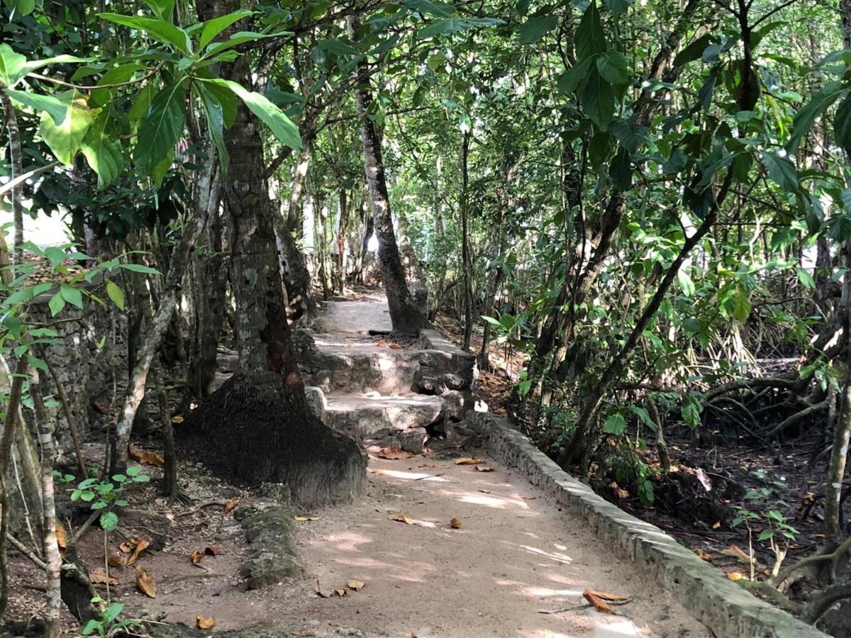 Villa Castillo De Los Minos Rio San Juan Ngoại thất bức ảnh